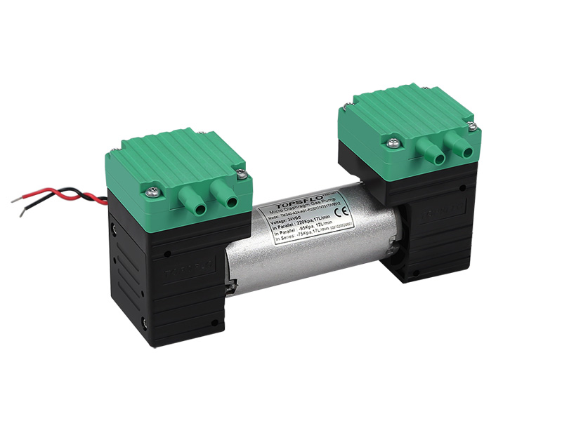 TMD40A-A Dual Head Miniature Diaphragm Air Pump